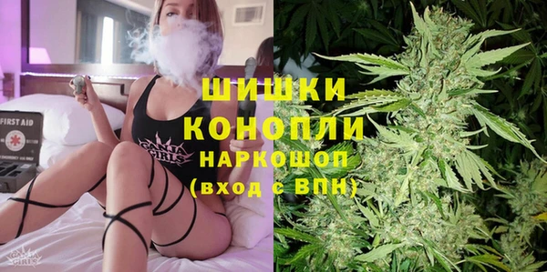 дурь Богородицк